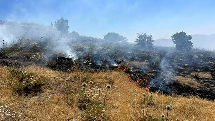 Sivrice'de otluk alanda yangın
