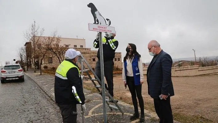 Sokak hayvanlarını korumak için uyarı tabelası