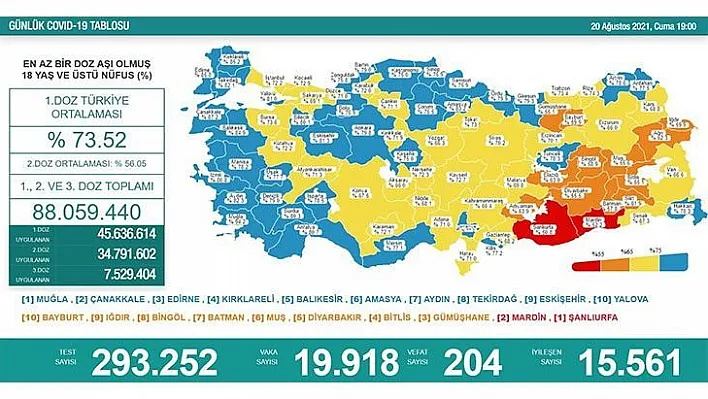 Son 24 saatte 204 kişi hayatını kaybetti