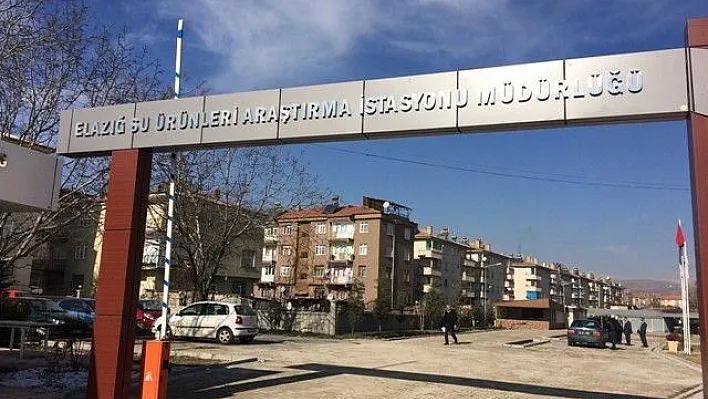 Su Ürünleri Üretiminde Verimliliği Arttırma