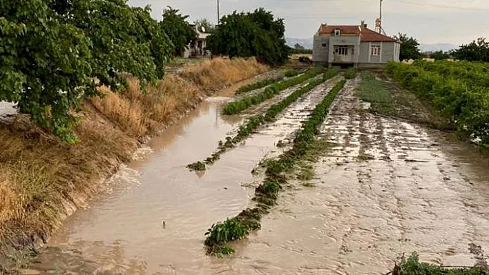 Tarım arazilerini sel vurdu