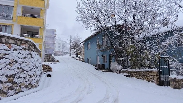 Tunceli'de kar yağışı etkili oldu, 132 köy yolu kapandı