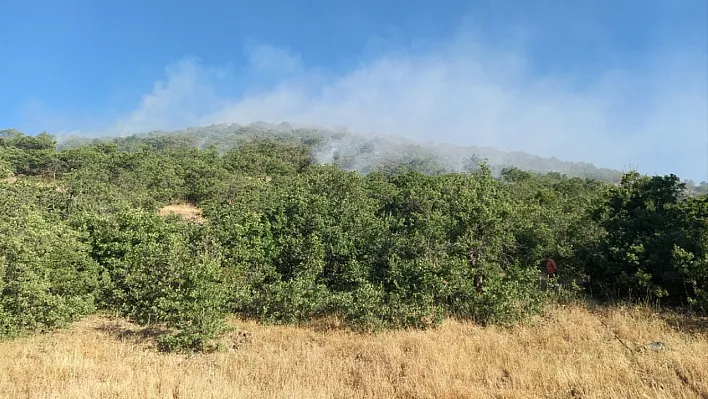 Tunceli'de örtü yangını