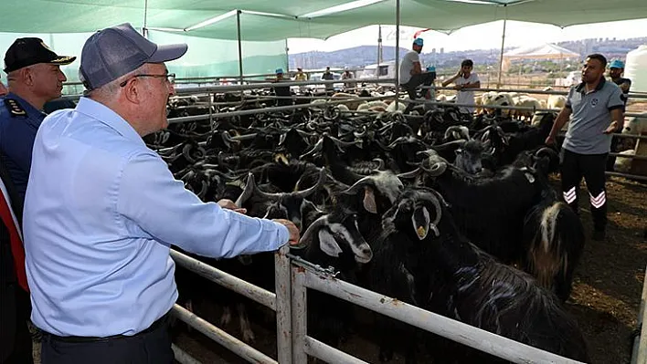 Vali Toraman kurban kesim alanlarını ziyaret etti