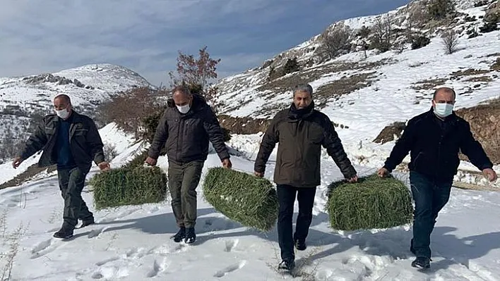 Yaban hayatı için doğaya yem bırakıldı