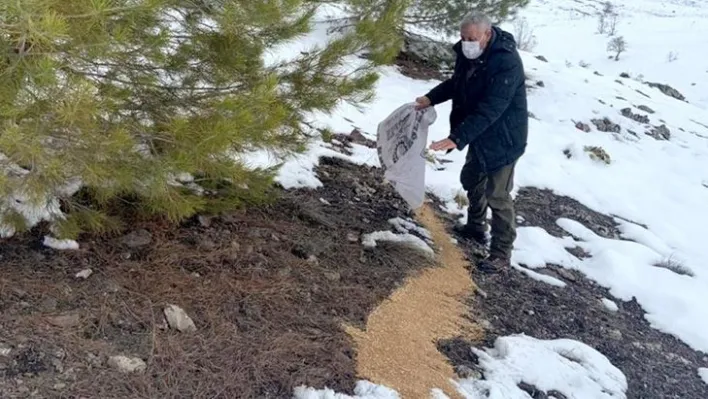 Yaban hayvanları için doğaya yem bırakıldı