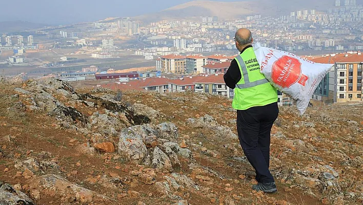 Elazığ Belediyesi doğaya yem bıraktı