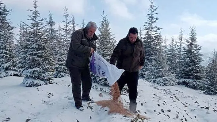 Yaban hayvanları unutulmadı