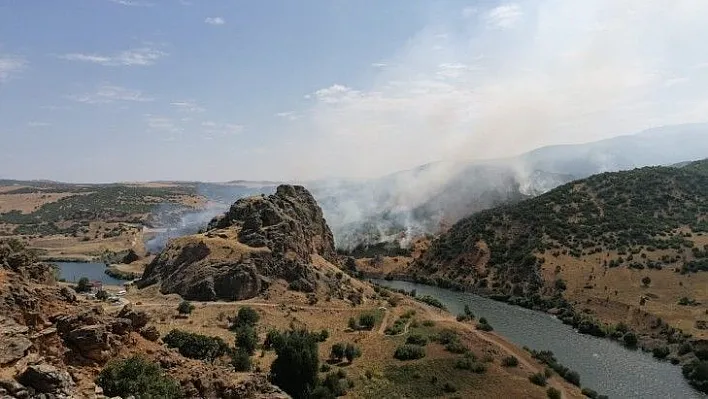 Yangın söndürüldü, 150 dönüm alan zarar gördü