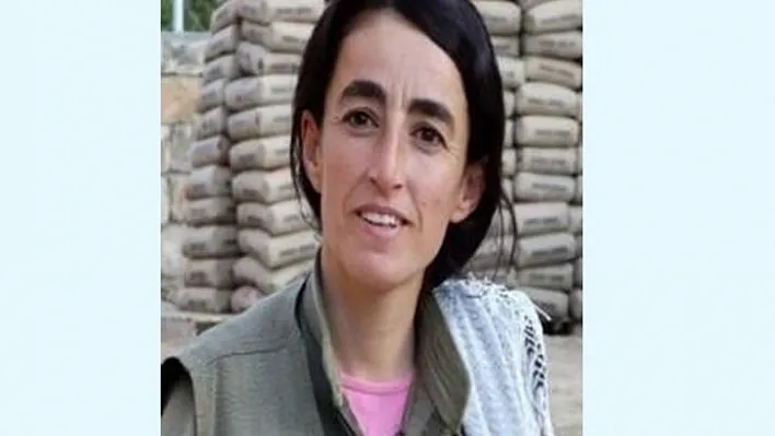 Yeşil kategoride aranan terörist etkisiz hale getirildi