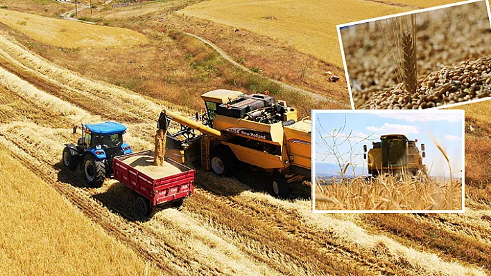 Yılın ilk arpa hasadı başladı