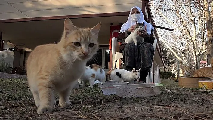 Zahide nineye mama desteği