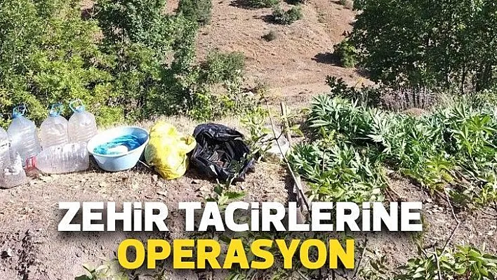 Zehir tacirlerine operasyon