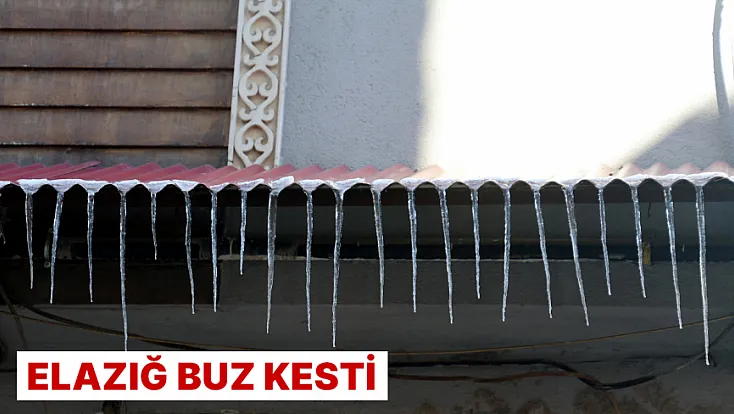 Elazığ buz kesti