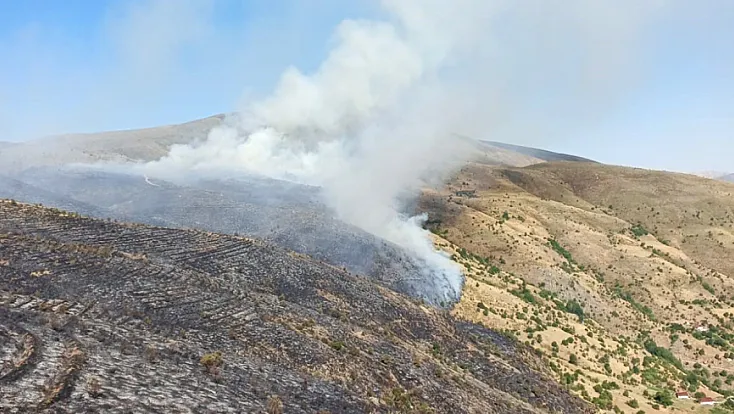 Elazığ'da örtü yangını yeniden başladı