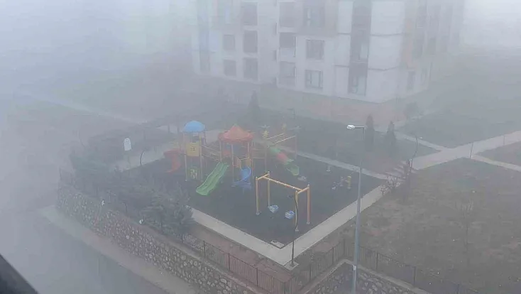 Elazığ'da sis etkili oldu