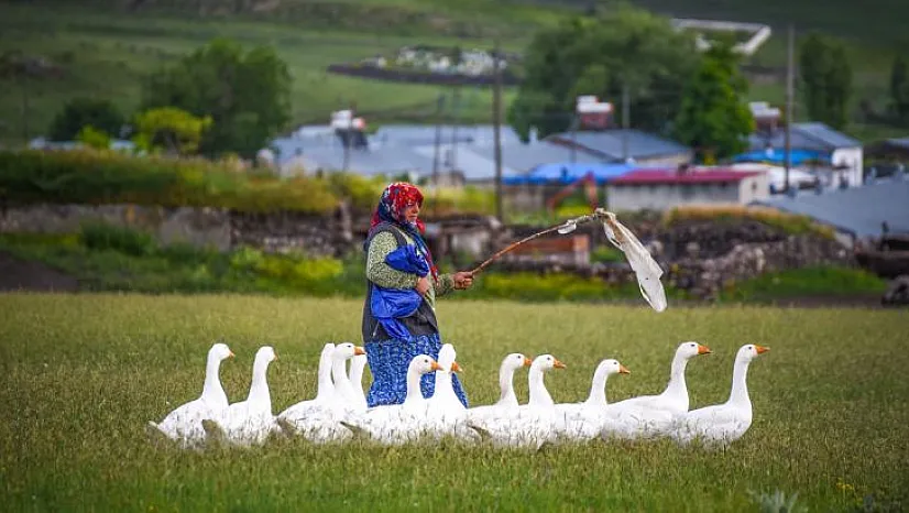 Kars'ta yaşam