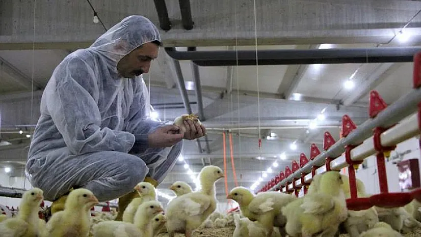 Şehir hayatından sıkıldı, Devlet desteğiyle çiftlik kurdu