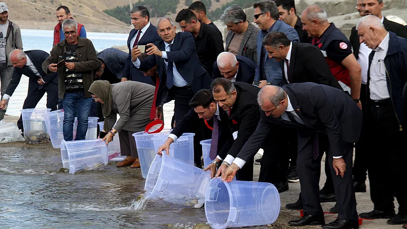 25 milyon yavru sazan suya bırakıldı