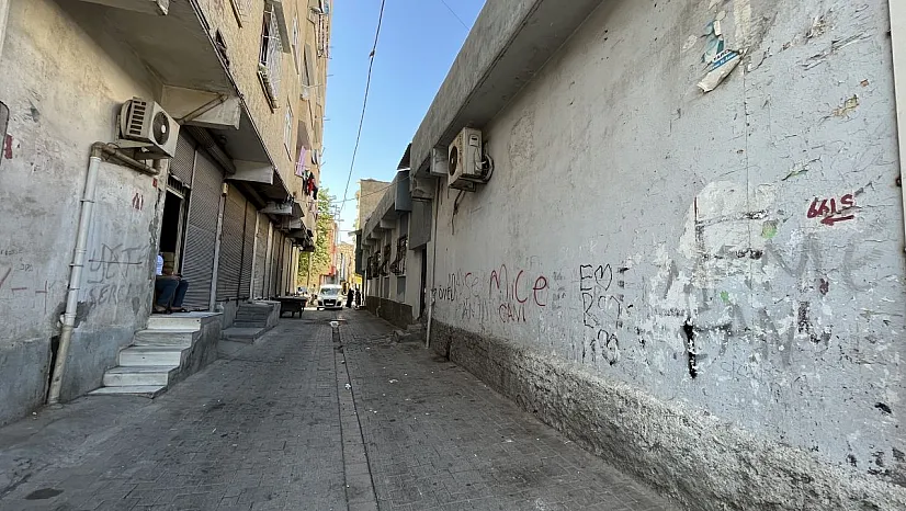 Diyarbakır'da anne cinayeti!