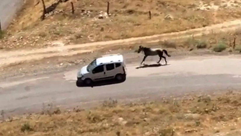 Atı aracın arkasına bağlayıp koşturan şahsa ceza