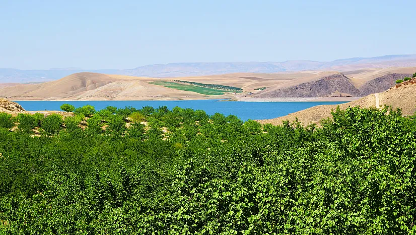 Baskil'in ulaşım zorluğu kayısı ticaretini ve turizmi etkiliyor