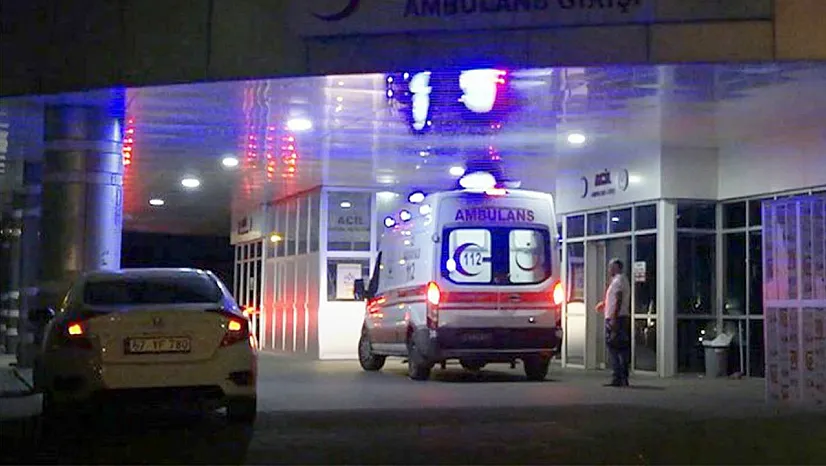 Bingöl'de ayı saldırısı