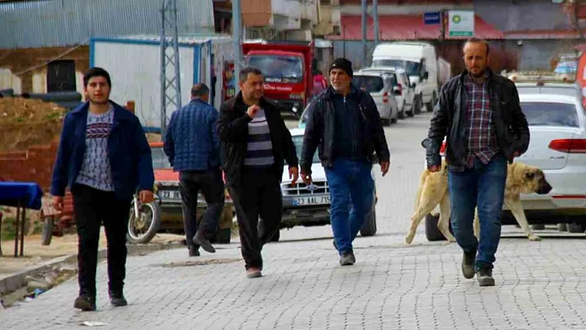 Depremin ardından vatandaşlar bu ilçeye akın etti