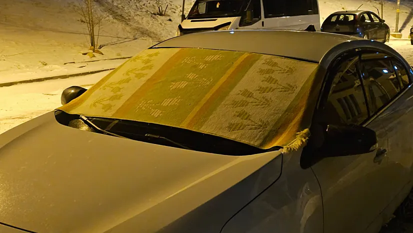 Dondurucu soğuklara karşı kilimli önlem