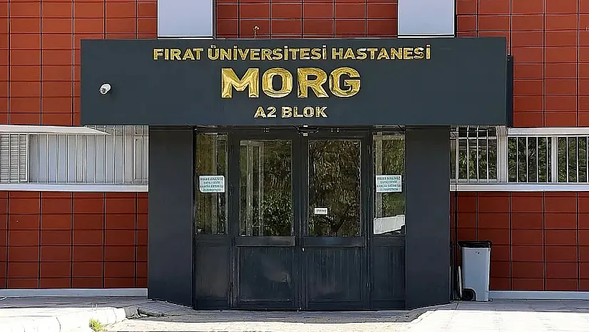 Elazığ'da dağ yürüyüşü faciayla bitti
