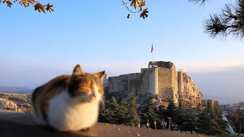 Elazığ'da hava durumu...