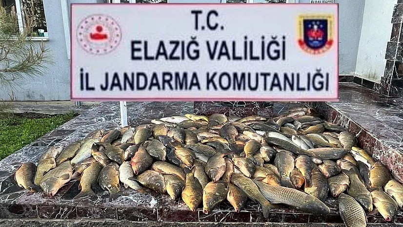 Elazığ'da kaçak avcılara ceza