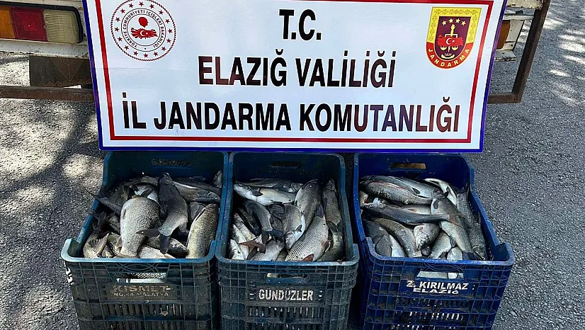 Elazığ'da kaçak balık avcısı yakalandı