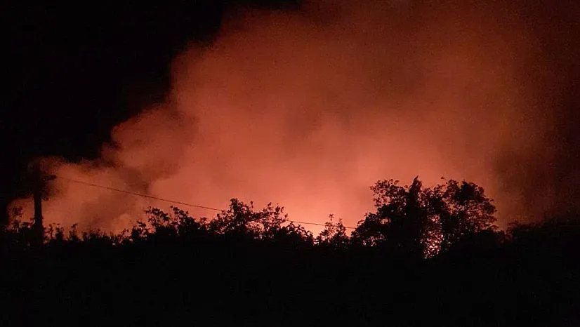 Elazığ'da orman yangını