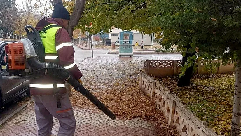 Elazığ'da sonbahar temizliği