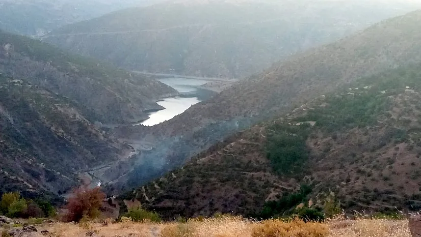 Elazığ'daki orman yangını söndürüldü