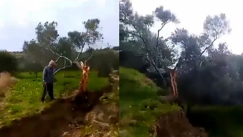 Fay ikiye böldüğü ağacı metrelerce taşıdı
