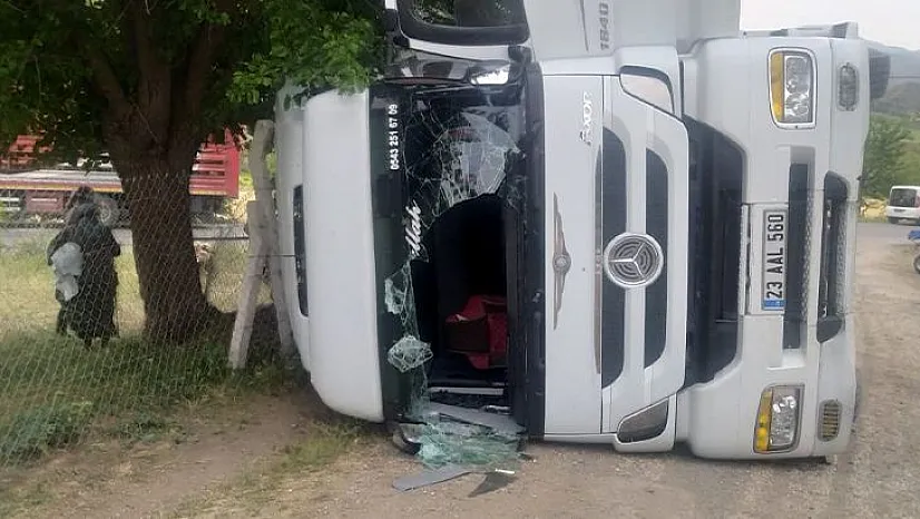 Hayvan yüklü tır devrildi