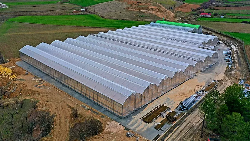 Jeotermal Sera Sahası'nda ilk etap tamamlandı