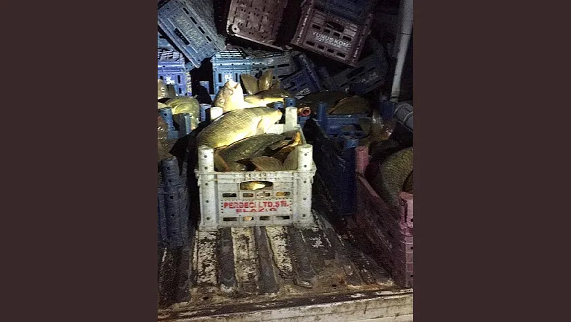 Kaçak avcıya 16 bin lira para cezası