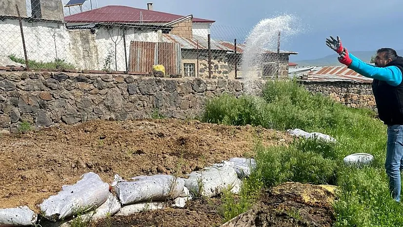 Karakoçan'da ilaçlama çalışmaları