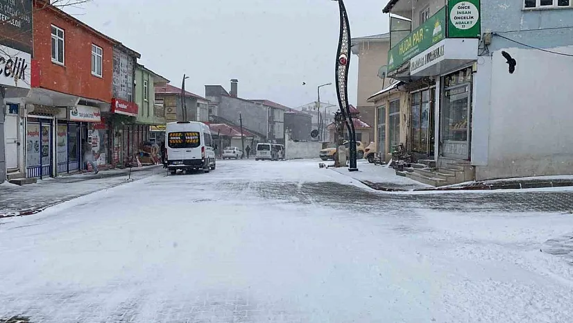 Mart sonu Bingöl'e kar yağdı