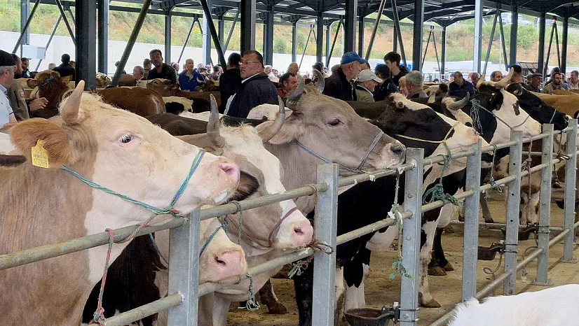 Kurbanlık harcaması rekor kıracak
