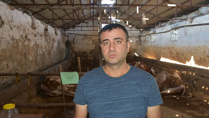 Malatya'da ahıra yıldırım düştü