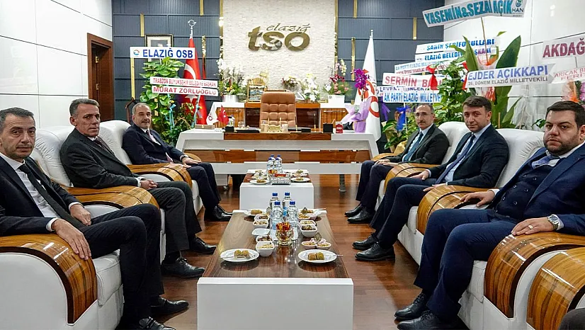 Rektör Göktaş'tan Başkan Alan'a ziyaret