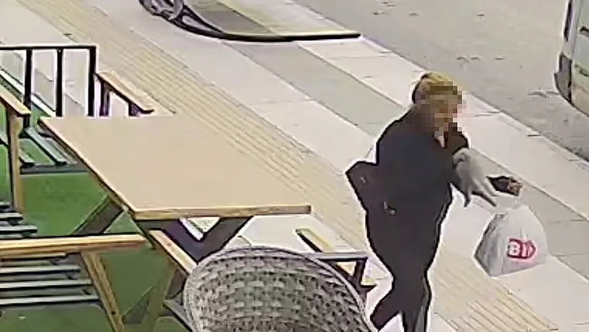 Sahipli kediyi kucağına alıp kayıplara karıştı
