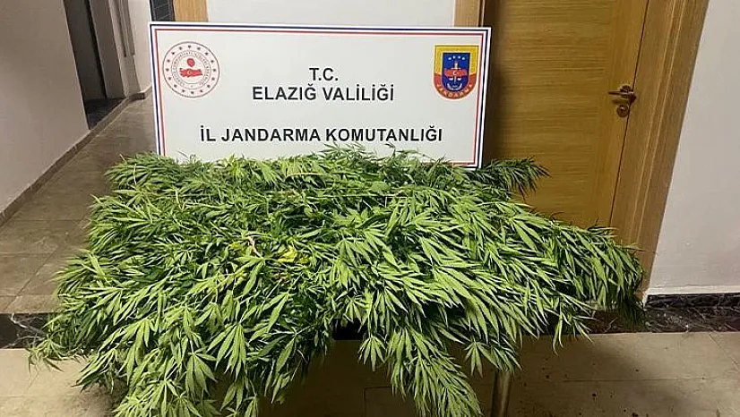 Suçüstü yakalandı!