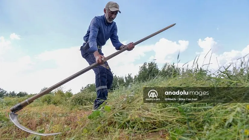 Tırpancıların köylerde ot biçme mesaisi başladı
