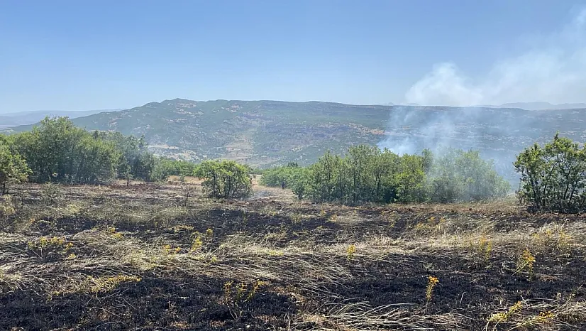 Tunceli'de 3 ayrı bölgede yangın