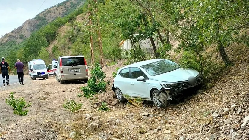 Tunceli'de trafik kazası